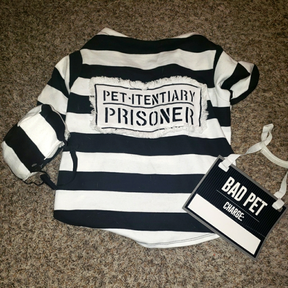 Pet costume